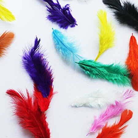 Feathers Feathers
