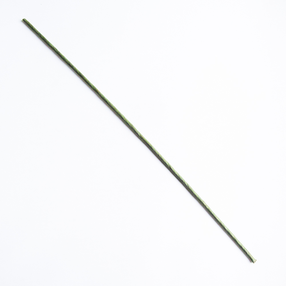 Green stick