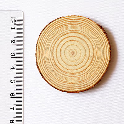 Wood Log