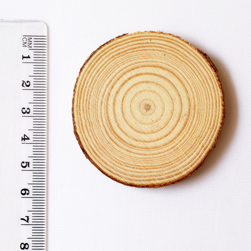 Wood Log Wood Log