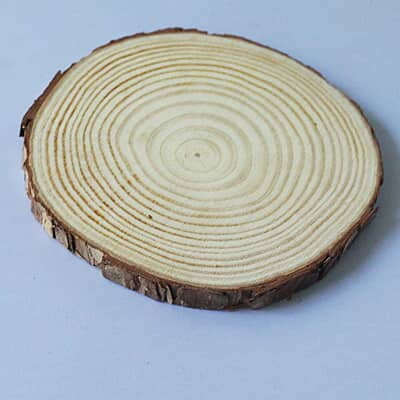Wood Log Wood Log