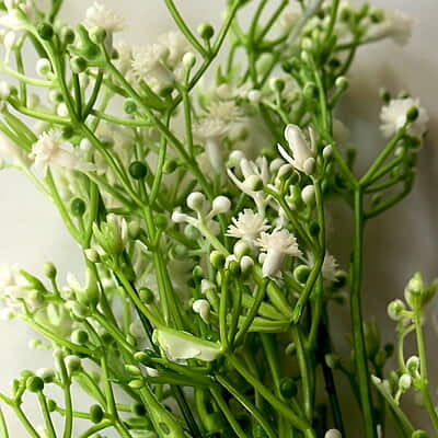 Artificial Flower Pollen White Big