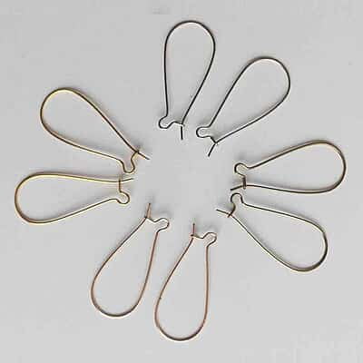 Kidney Ear Hook