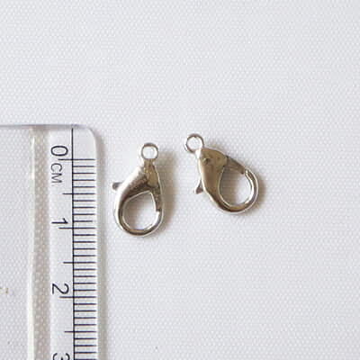 Clasp Chrome Silver 2 cm
