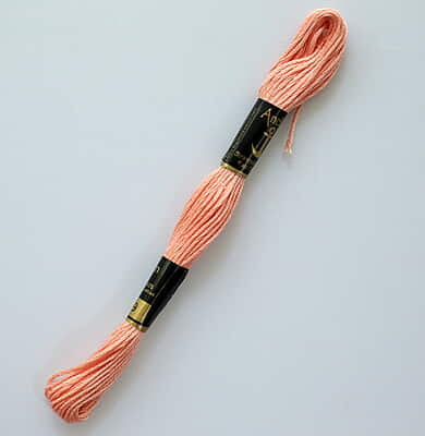 Anchor Embroidery Thread 09