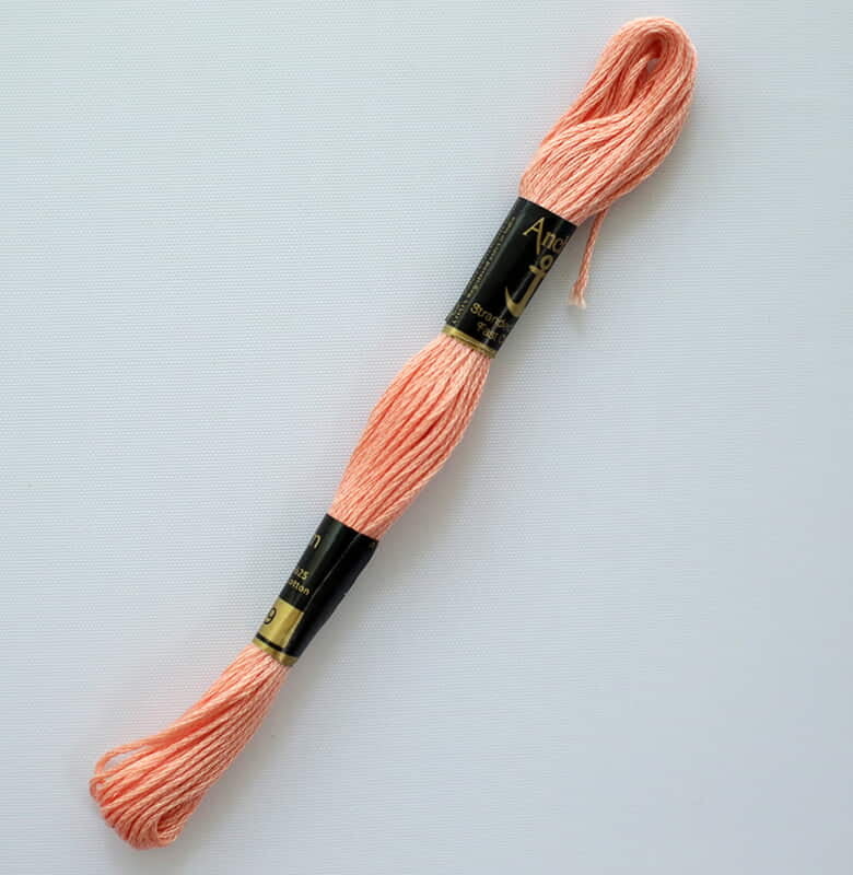 Anchor Embroidery Thread 09