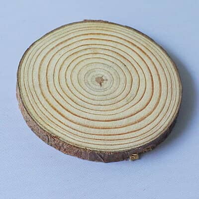 Wood Log Wood Log