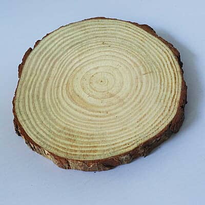 Wood Log Wood Log