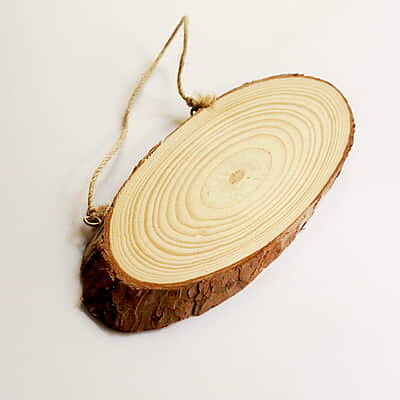 Wood log Oval