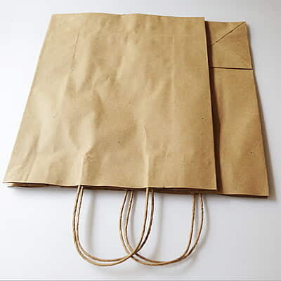 Paper Bag Brown Medium
