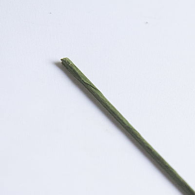 Green stick Green stick
