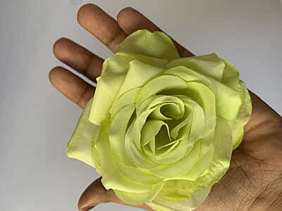 Artificial Flower 7cm Artificial Flower 7cm