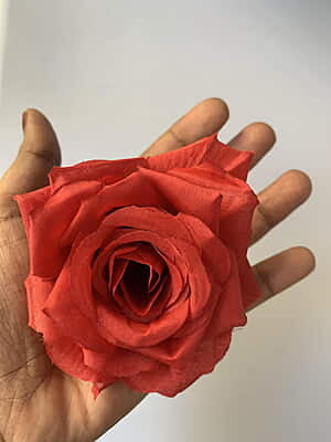 Artificial Flower 7cm Artificial Flower 7cm