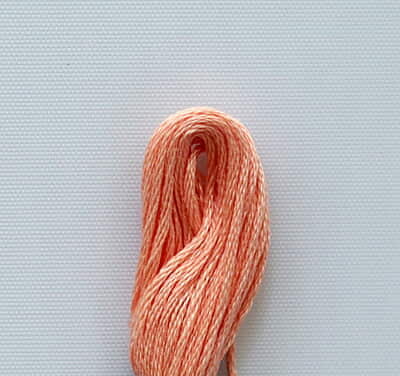 Anchor Embroidery Thread 09
