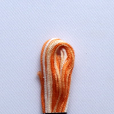 Rangoli Embroidery Thread R6698
