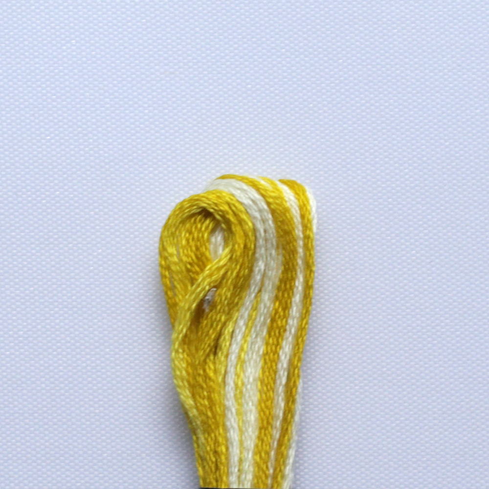 Rangoli Embroidery Thread R6696