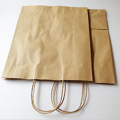 Paper Bag Brown Medium