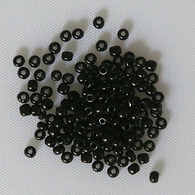Seed Beads 100