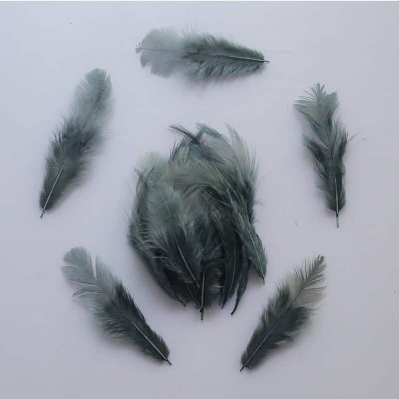 Feathers Slate Grey Feathers Slate Grey