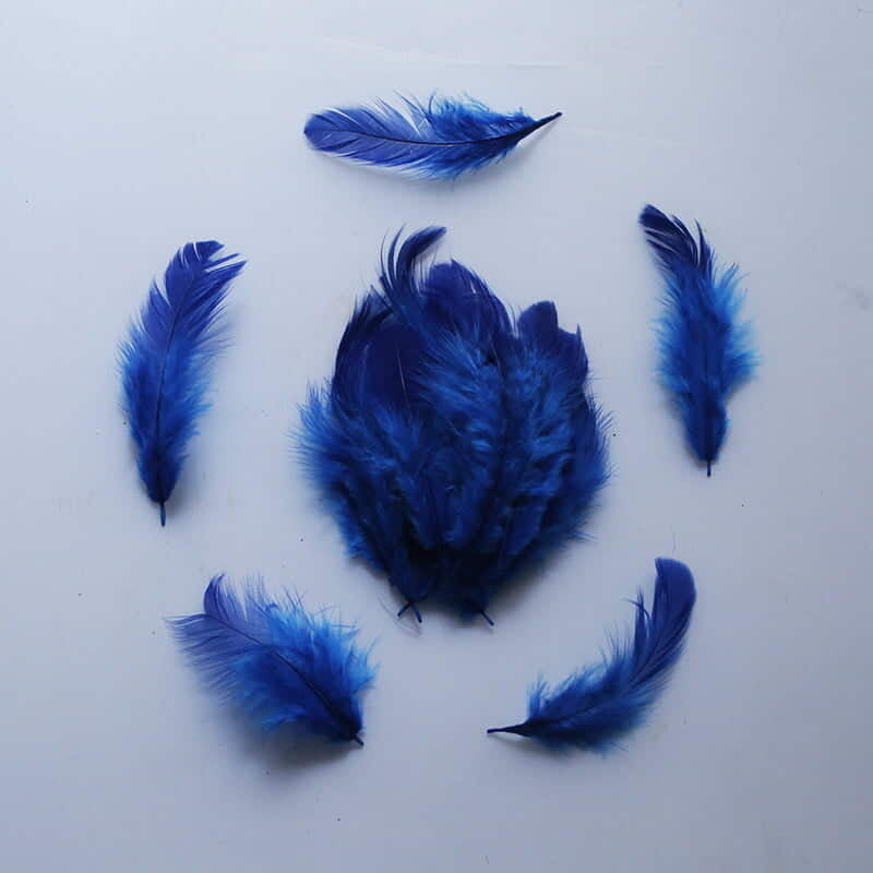 Feathers Blue Feathers Blue