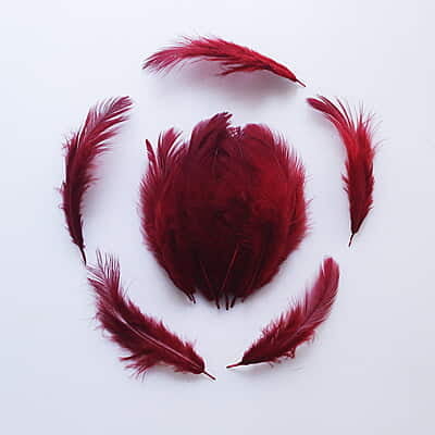 Feathers Maroon