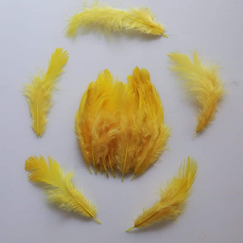 Feathers Yellow Feathers Yellow