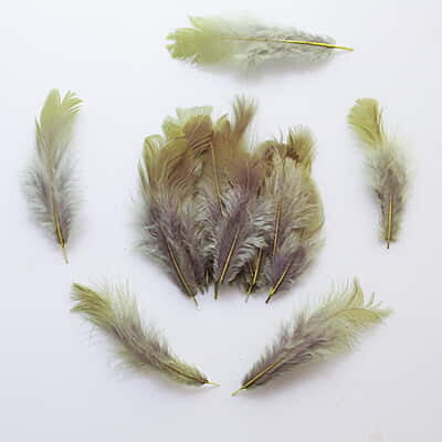 Feathers Sardine Grey