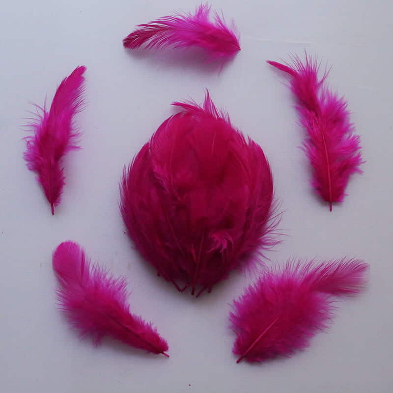 Feathers Rose Feathers Rose