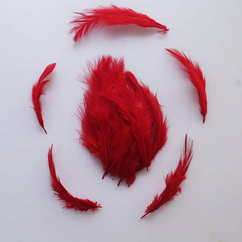 Feathers Red Feathers Red