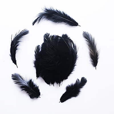 Feathers Black