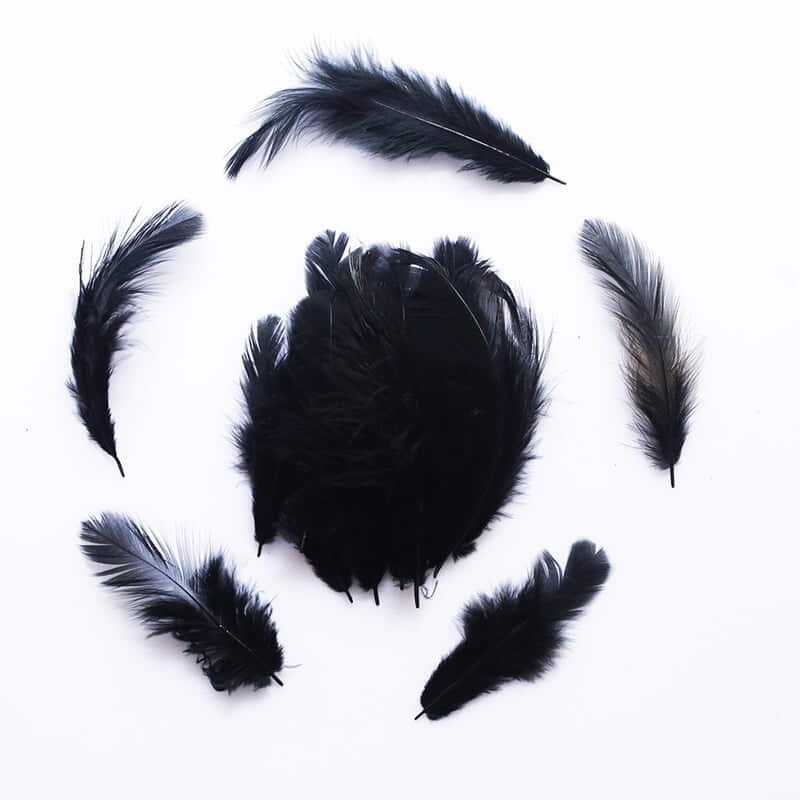 Feathers Black Feathers Black