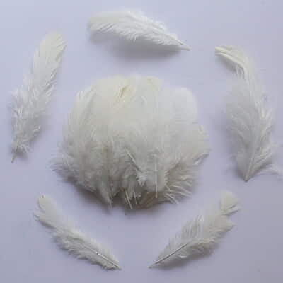 Feathers White