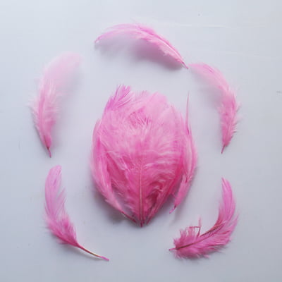 Feathers Baby Pink