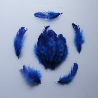 Feathers Blue
