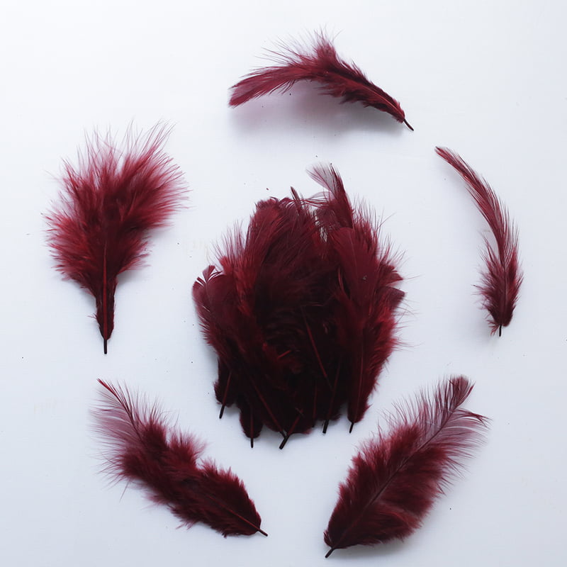 Feathers Brownish Red