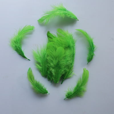 Feathers Light Green