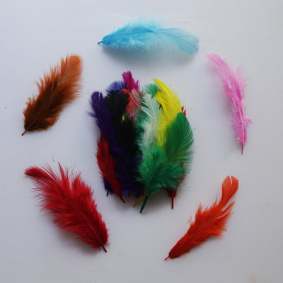 Feathers Multicolor