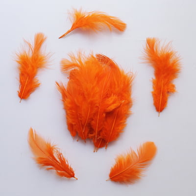 Feathers Orange