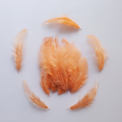 Feathers Peach