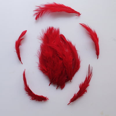 Feathers Red