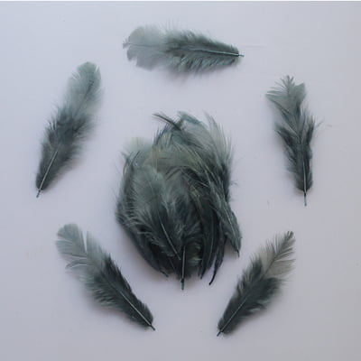Feathers Slate Grey