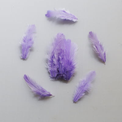 Feathers Light Violet