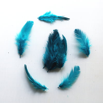 Feathers Turquoise Blue