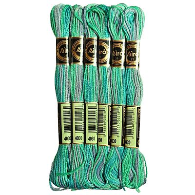 Airo Embroidery Thread Set Multi- 4030