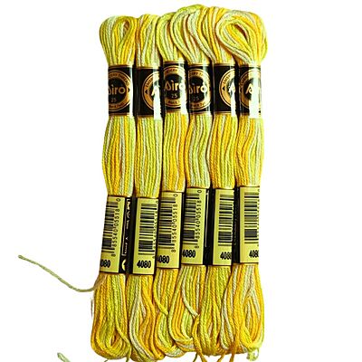 Airo Embroidery Thread Set Multi- 4080