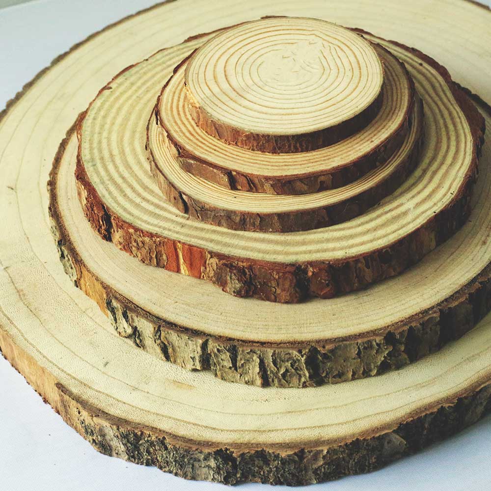 Wood Log